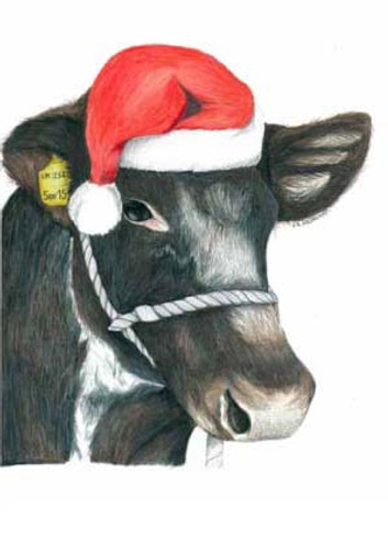 Kevin Milner Christmas Cards