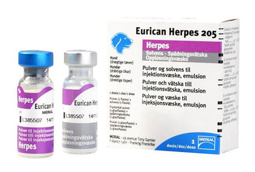 Eurican Herpes 205 (1 dose)
