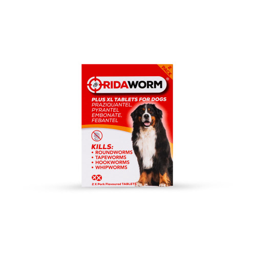 Chanelle Ridaworm XL Dog Tablets (pack of 2)