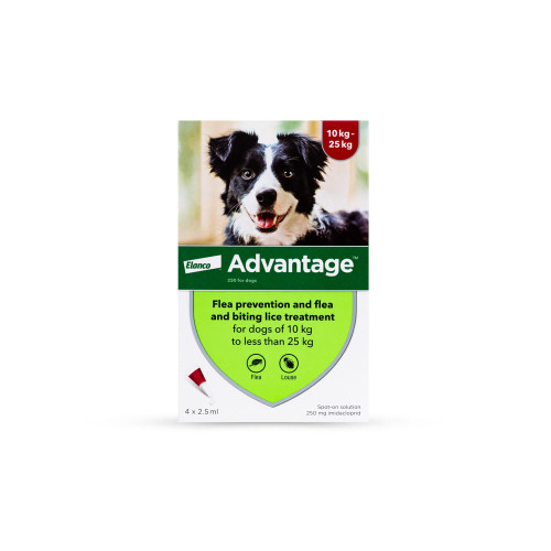 Advantage 250 (for dogs between 10-25kg) pack of 4