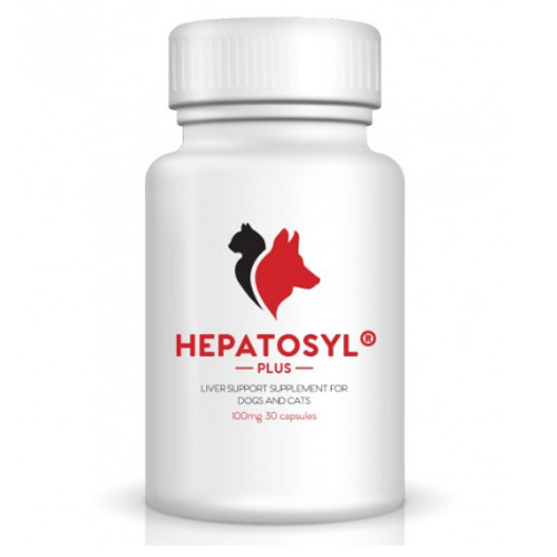 Hepatosyl Plus 100mg Capsules (pack of 90)