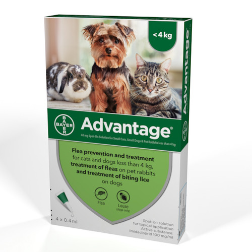 Advantage 40 (for small cat/dog/rabbit under 4kg) pack of 4