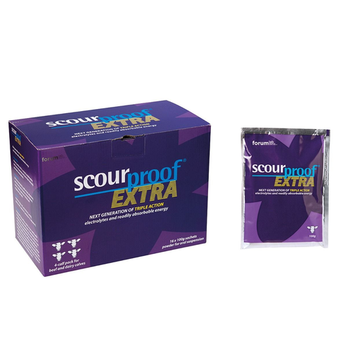 Scour Proof Extra 100g (Pack of 16)