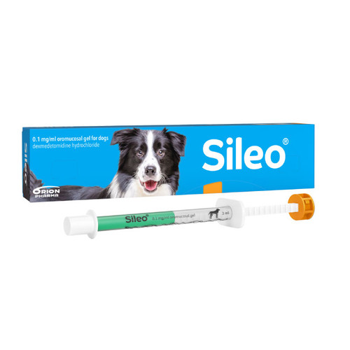 Sileo Oromucosal Gel Syringe for Dogs 3ml