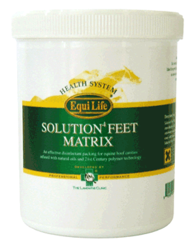 Solution4 Feet Matrix 600g