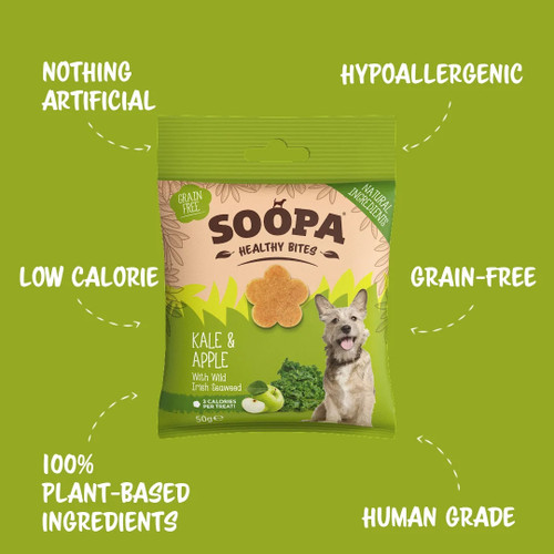 Soopa Healthy Bites Kale and Apple 50g