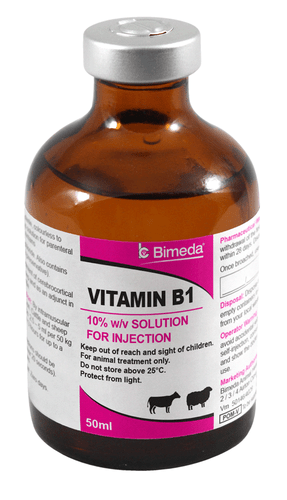 Vitamin B1 10% w/v Solution for Injection 50ml