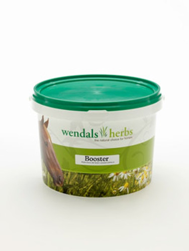 Wendals Booster for Horses 1kg