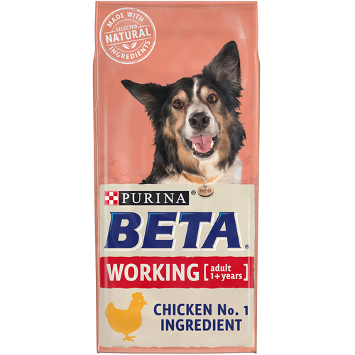 Beta Adult Working Dog with Chicken