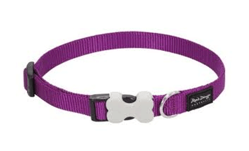 Red Dingo Classic Dog Collar - Purple