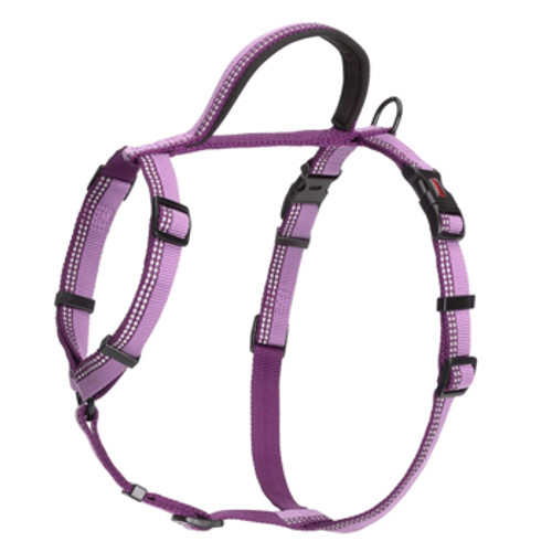 Halti Walking Harness - Purple