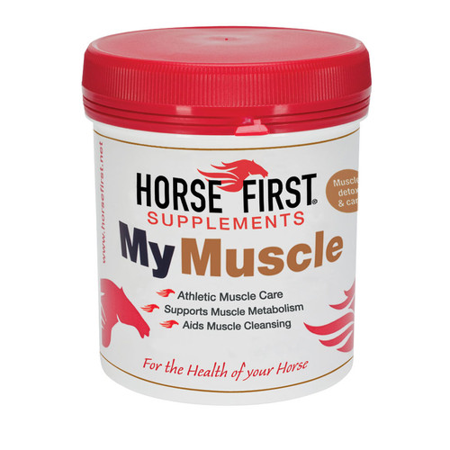 Horse First My Muscle