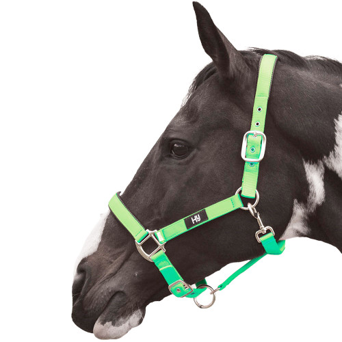 Hy Grand Prix Head Collar - Hot Green