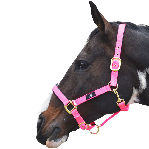 Hy Grand Prix Head Collar - Hot Pink