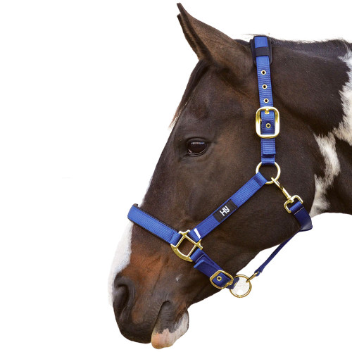 Hy Deluxe Padded Head Collar - Navy