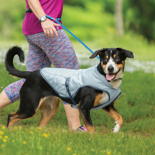 Kurgo Core Cooling Vest - Icy Blue/Storm Blue