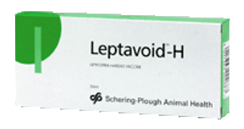 Leptavoid H