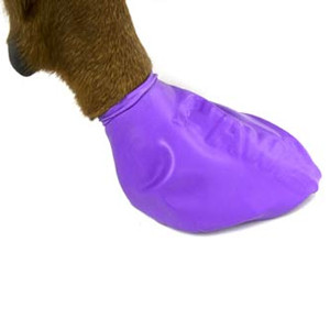 Pawz Natural Rubber Dog Boots (pack of 12)