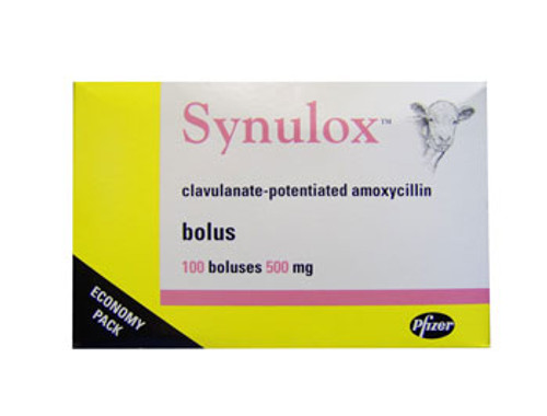 Synulox Bolus 500 mg film-coated tablet