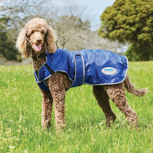 WeatherBeeta ComFiTec Windbreaker Free Deluxe Dog Coat - Dark Blue/Grey/White