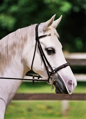 Equilibrium Net Relief Muzzle Net - White