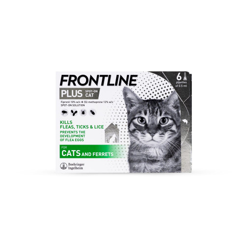 Frontline Plus Spot On Flea Treatment for Cats & Ferrets