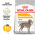 Royal Canin Maxi Dermacomfort Care Dry Dog Food