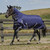 WeatherBeeta ComFiTec Essential Combo Neck Medium Turnout Rug