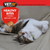 Vetiq Healthy Bites Urinary Care For Cats & Kittens 65g