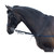 Whitaker Elasticated Side Reins   NAVY