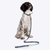 Danish Design Fatface Marching Dogs Lead
