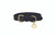 Benji & Flo Deluxe Padded Leather Dog Collar