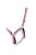 Hy Equestrian Glitzy Headcollar