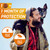 FRONTPRO Chewable Tablets Flea & Tick Treatment for Dogs