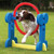Small Dog Agility Range - Hoop