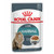 Royal Canin Hairball Care in Gravy Adult Wet Cat Food