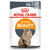 Royal Canin Intense Beauty in Gravy Adult Wet Cat Food 12 x 85g