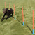 Rosewood Agility Range - Slalom Poles