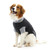 Buster Classic Body Suit For Dogs