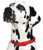 Vintage Polka Adjustable Dog Collar - Red Polka