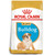 Royal Canin Bulldog Puppy Dry Dog Food