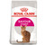 Royal Canin Savour Exigent Adult Dry Cat Food