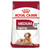 Royal Canin Medium Ageing 10+ Dry Dog Food