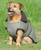 WeatherBeeta Tweed Dog Coat - Olive Tweed