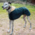 Cosipet Greyhound Hunter Dog Coat - Green