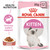 Royal Canin Kitten in Gravy Wet Cat Food