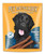 Pet Munchies Venison Stix 50g