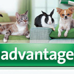 Advantage for Cats
