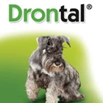 Drontal for Dogs