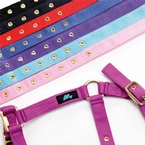 Hy Horse Headcollars